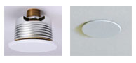 Concealed Sprinkler